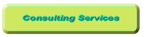 Consulting Services